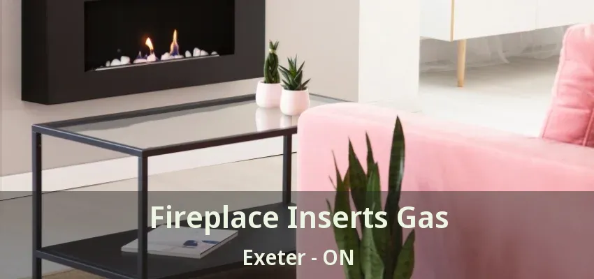 Fireplace Inserts Gas Exeter - ON