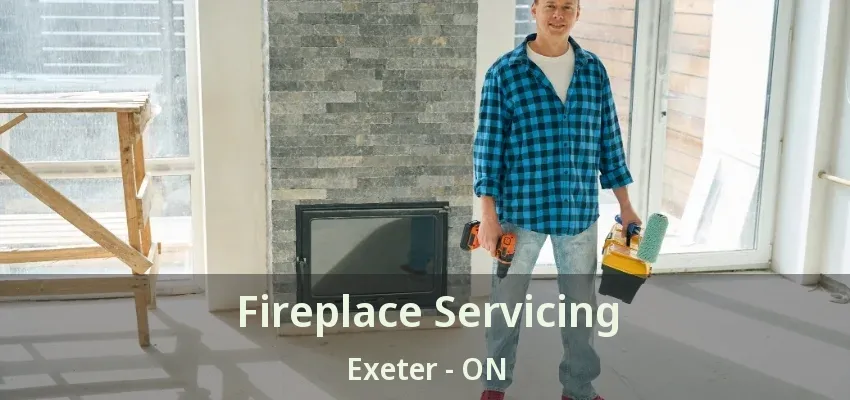 Fireplace Servicing Exeter - ON