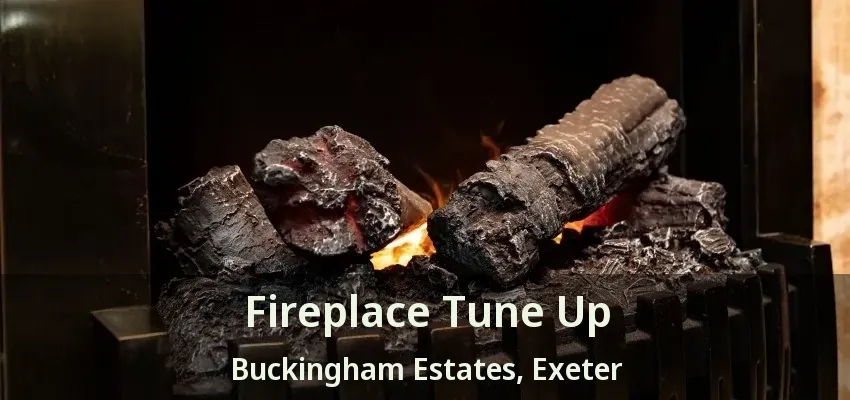 Fireplace Tune Up Buckingham Estates, Exeter - ON