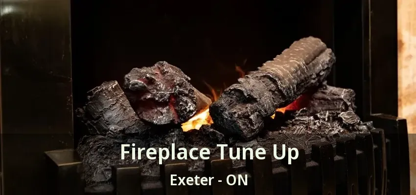 Fireplace Tune Up Exeter - ON