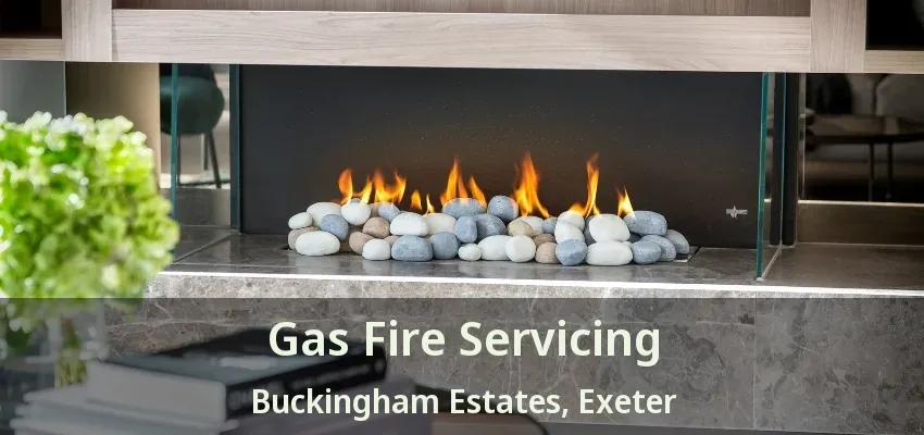 Gas Fire Servicing Buckingham Estates, Exeter - ON