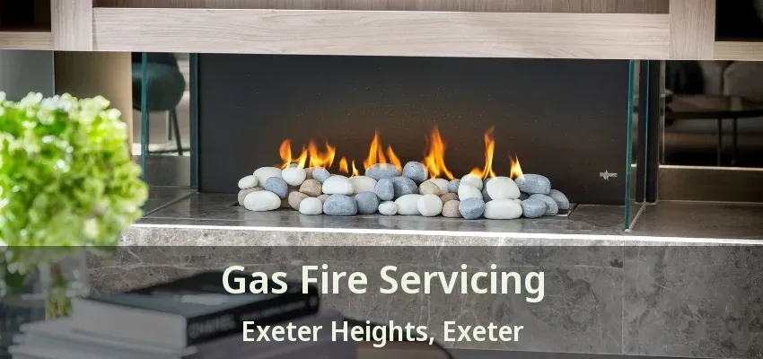 Gas Fire Servicing Exeter Heights, Exeter - ON