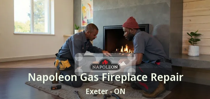 Napoleon Gas Fireplace Repair Exeter - ON Napoleon Gas Fireplace Repair Exeter - ON