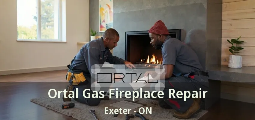 Ortal Gas Fireplace Repair Exeter - ON Ortal Gas Fireplace Repair Exeter - ON