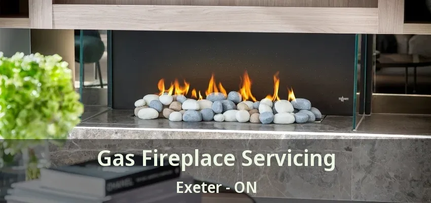 Gas Fireplace Servicing Exeter - ON