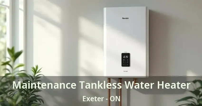 Maintenance Tankless Water Heater Exeter - ON Maintenance Tankless Water Heater Exeter - ON