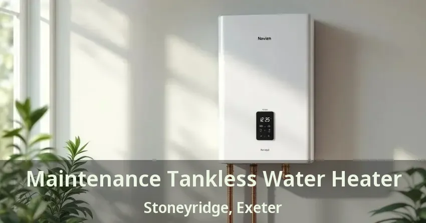 Maintenance Tankless Water Heater Stoneyridge, Exeter - ON