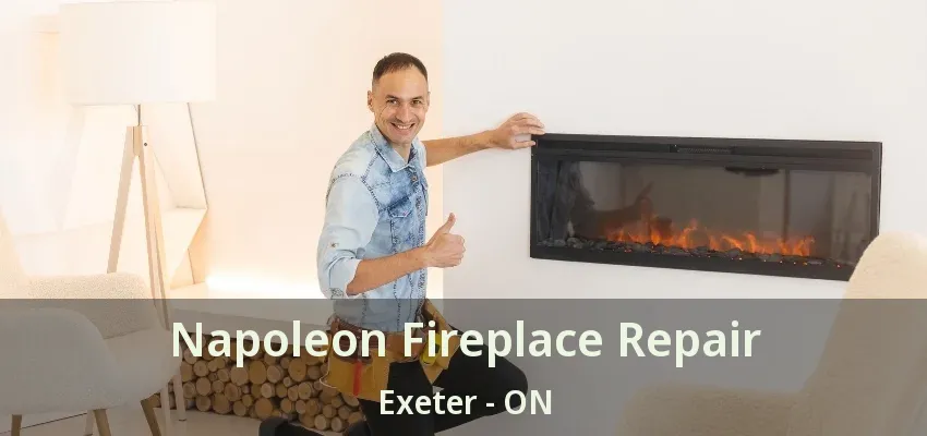Napoleon Fireplace Repair Exeter - ON