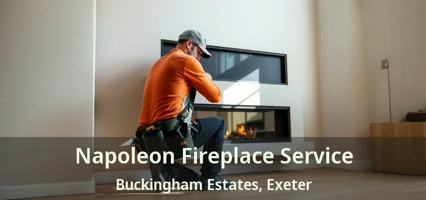 Napoleon Fireplace Service Buckingham Estates, Exeter - ON Napoleon Fireplace Service Buckingham Estates, Exeter - ON