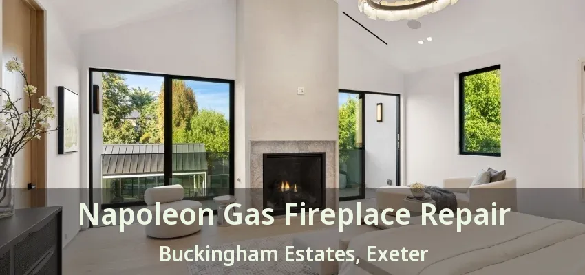 Napoleon Gas Fireplace Repair Buckingham Estates, Exeter - ON