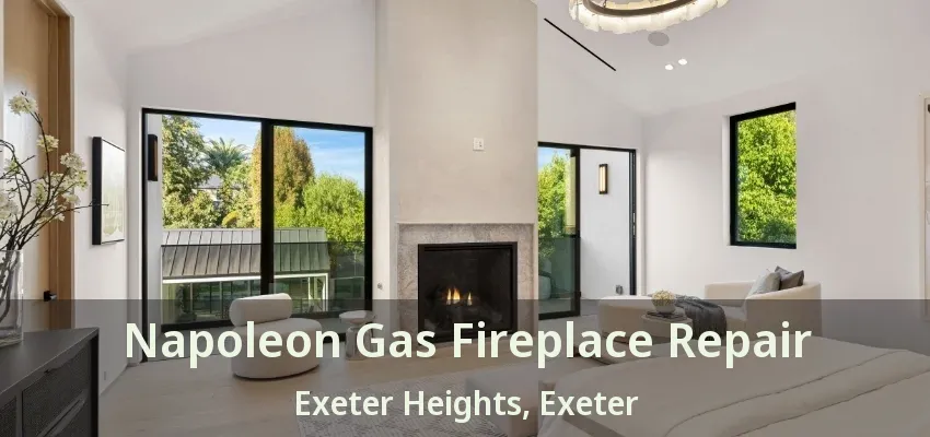 Napoleon Gas Fireplace Repair Exeter Heights, Exeter - ON