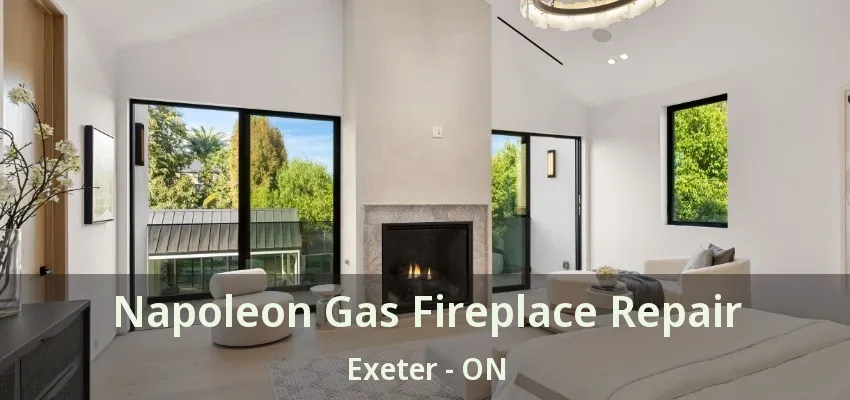 Napoleon Gas Fireplace Repair Exeter - ON