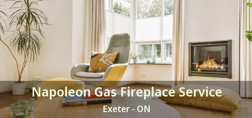 Napoleon Gas Fireplace Service Exeter - ON