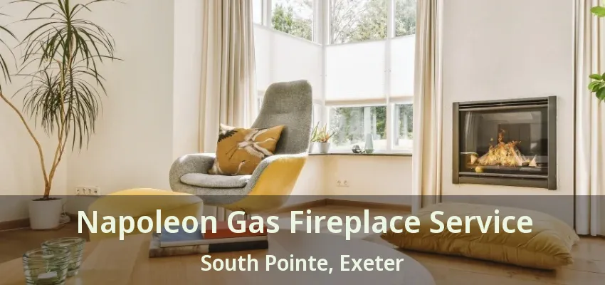 Napoleon Gas Fireplace Service South Pointe, Exeter - ON