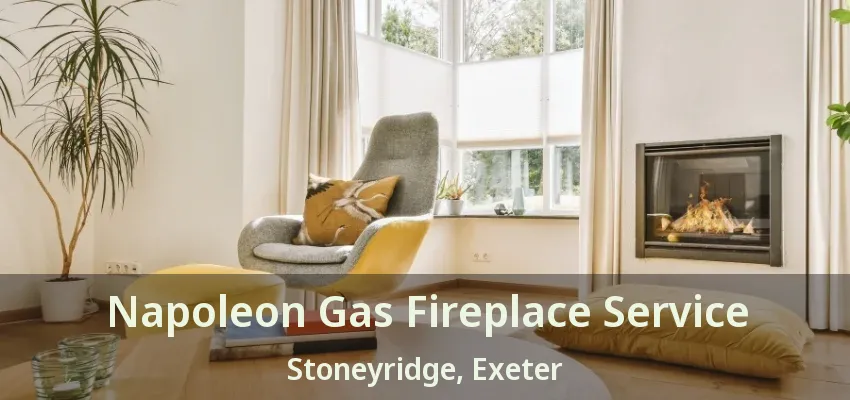 Napoleon Gas Fireplace Service Stoneyridge, Exeter - ON Napoleon Gas Fireplace Service Stoneyridge, Exeter - ON