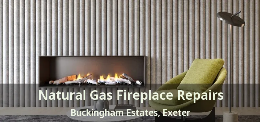 Natural Gas Fireplace Repairs Buckingham Estates, Exeter - ON Natural Gas Fireplace Repairs Buckingham Estates, Exeter - ON
