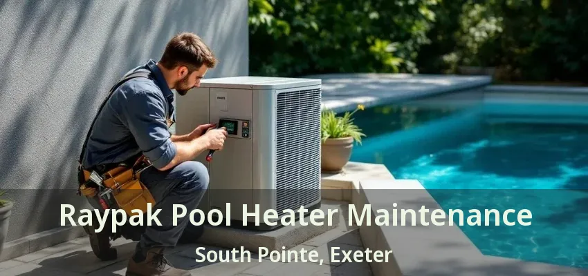 Raypak Pool Heater Maintenance South Pointe, Exeter - ON