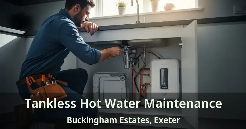 Tankless Hot Water Maintenance Buckingham Estates, Exeter - ON Tankless Hot Water Maintenance Buckingham Estates, Exeter - ON