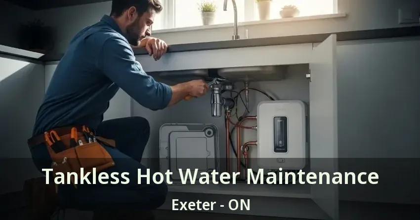 Tankless Hot Water Maintenance Exeter - ON
