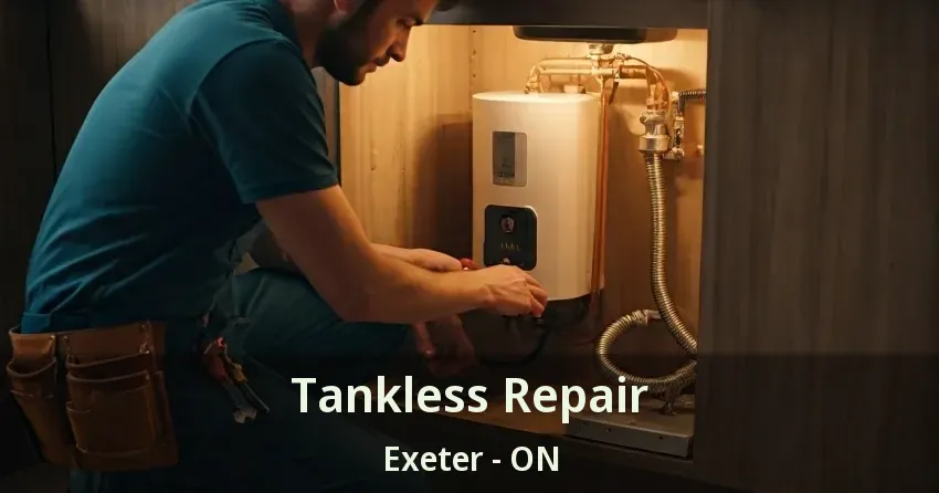 Tankless Repair Exeter - ON