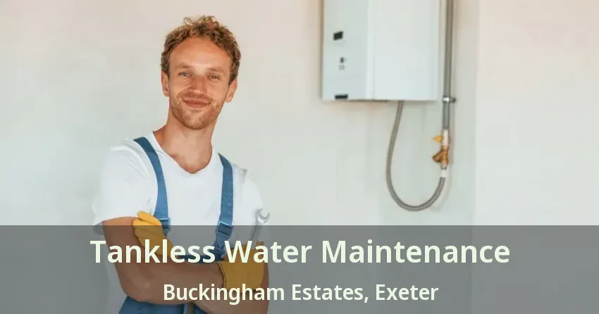 Tankless Water Maintenance Buckingham Estates, Exeter - ON Tankless Water Maintenance Buckingham Estates, Exeter - ON
