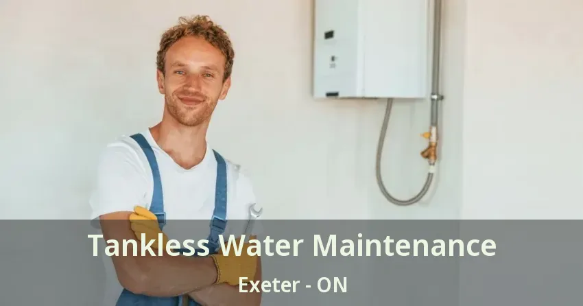 Tankless Water Maintenance Exeter - ON