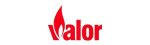 Valor Valor Gas Fireplace Repair in Exeter
